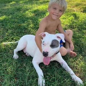 Meet your Posher, Douglas